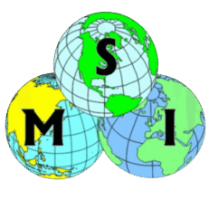 Maquilas y Servicios Internacionales